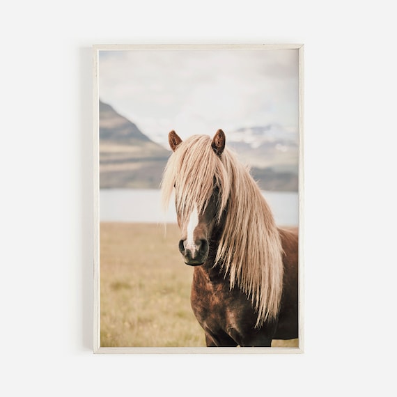 Icelandic Pony Wall Art, Large Horse Poster, Horse Wall Art Print, Iceland Wall Art, Modern Wall Art, Icelandic Horse Printable Art