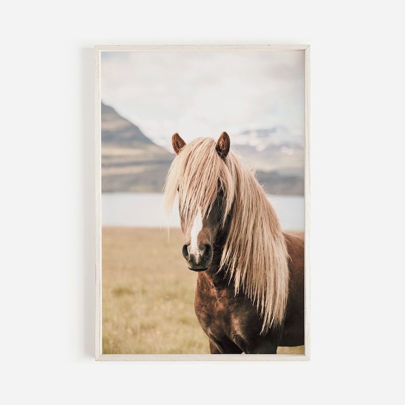 May include: A framed print featuring a brown horse with a long, flowing, light-colored mane. The horse stands in a field with a mountain and lake in the background. The image has a soft, natural color palette.