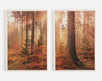 Morning Autumn Forest Print Set, Diptych Rustic Photography, Old Growth Forest Decor, Nature Digital Art, Warm Fall Colors, Set of 2 Prints
