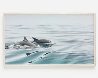 Samsung Frame TV Art, Dolphin Photo, Dolphin Art for Frame TV, Two Dolphins Swimming, Ocean Animal Print, Dolphin Digital Art, Coastal TV
