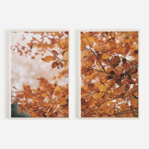 Bright Leaves On Fall Trees Print, Set of 2 Autumn Art, Nature Photography, Red And Orange Leaves, Rustic Home Decor, Diptych Print Set