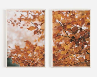 Bright Leaves On Fall Trees Print, Set of 2 Autumn Art, Nature Photography, Red And Orange Leaves, Rustic Home Decor, Diptych Print Set