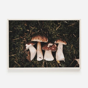 Mushrooms On Grass Print, Fungi Nature Poster, Autumn Home Decor, Cottagecore Wall Art, Nature Lover Printable, Mushroom Harvest Print