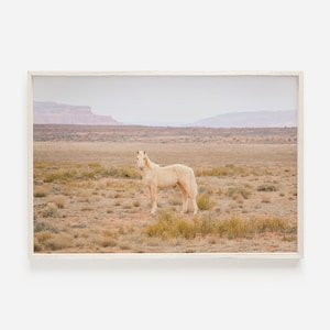 Palomino Desert Horse, Wild Horse in Utah, Desert Scenery, Open Range Photo, Blonde Horse Wall Art, Wild Horse Scenery, Rustic Utah Nature
