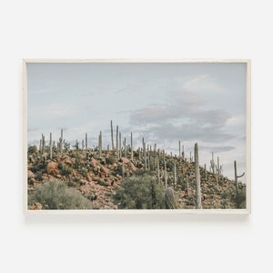 Stimmungsvolle Wüstenlandschaft, Arizona Fotografie, Saguaro Desert Poster, Kaktus bedeckte Hügel, Arizona druckbar, große Wandkunst, Southwest Decor