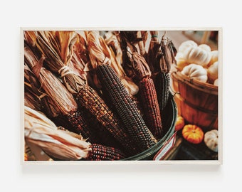 Impressão rústica de milho indiano, decoração de fazenda, arte imprimível de milho rústico, pôster colorido de milho indiano, arte digital de milho seco, decoração de outono