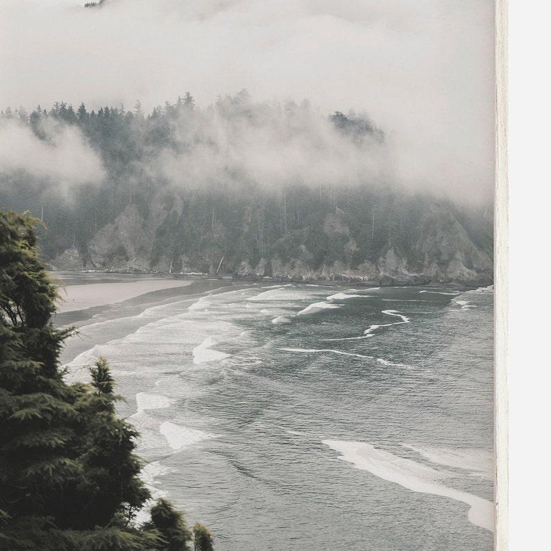 Puede incluir: Una escena de bosque brumoso y brumoso con vista a una playa y olas del oc&eacute;ano. El bosque est&aacute; en el fondo y el oc&eacute;ano en primer plano. La escena se captura desde un punto de vista elevado.