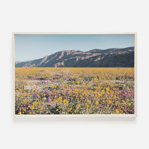Desert Wall Art, California Desert Print, Death Valley, Southwestern Print, Death Valley Flowers, Printable Art, Downloadable Print