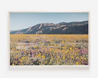 Desert Wall Art, California Desert Print, Death Valley, Southwestern Print, Death Valley Flowers, Printable Art, Downloadable Print