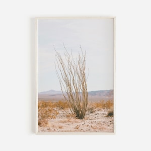 Ocotillo Kaktus In Wüste, Offene Wüstenlandschaft, Ocotillo Kaktus Wandkunst, Trockene Wüstenansicht, Ocotillo Printable, Arizona Ocotillo Cactus Print
