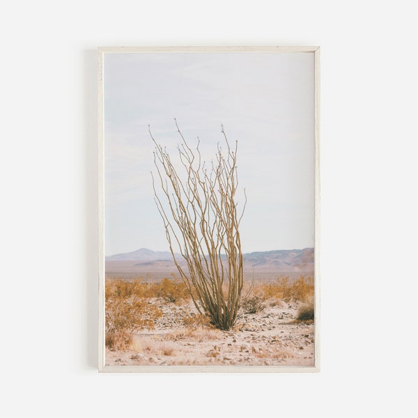 Ocotillo Cactus In Desert, Open Desert Scenery, Ocotillo Cactus Wall Art, Dry Desert View, Ocotillo Printable, Arizona Ocotillo Cactus Print