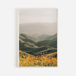 Poppy Wall Art, California Landscape, Poppy Printable, Floral Wall Art, California Poppy, Large Poppy Fields, Floral Photography