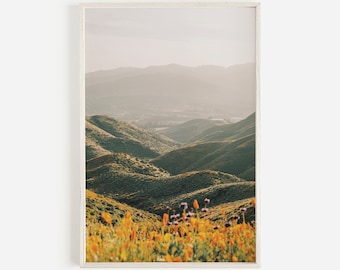 Poppy Wall Art, California Landscape, Poppy Printable, Floral Wall Art, California Poppy, Large Poppy Fields, Floral Photography