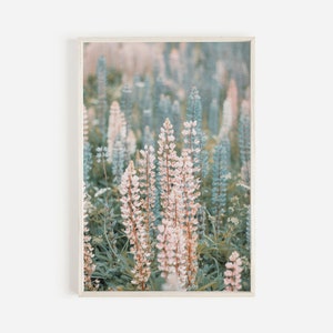 Lupine Flowers in Washington, PNW Floral Print, Lupine Flowers, Mountain Flower Art, Pink and Blue Flowers, Lupine Flower Photography