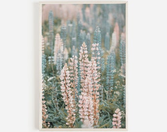 ワシントンのルピナスの花、PNW の花柄プリント、ルピナスの花、山の花のアート、ピンクとブルーの花、ルピナスの花の写真