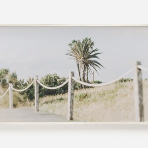 Puede incluir: Un camino bordeado de postes de madera y cuerda conduce a una palmera en un campo de hierba alta. El cielo es de un azul suave y la escena está bañada por una luz cálida y dorada.