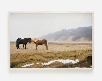 Iceland Landscape, Icelandic Horse Print, Horse Photography, Iceland Wall Art, Large Horse Poster, Iceland Travel Print, Digital Download
