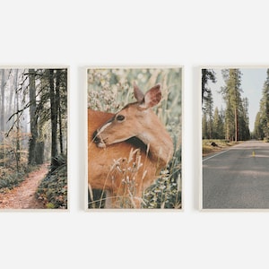 Oregon Wilderness Posters, Rustic Home Decor, Deer in Meadow, Crater Lake National Park, Mossy Forest Scenery, Set of 3 Prints, 3 Rustic Art