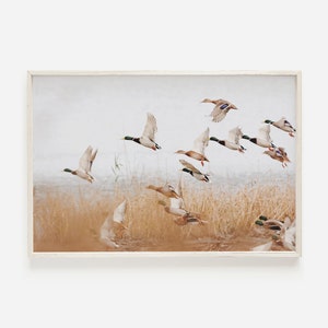 Ente Wandkunst, Tierfotografie, Hütte Dekor, Ente Digitaldruck, Midwest Wandkunst, Lodge Stil Druck, druckbare Ente Kunst, Natur Poster