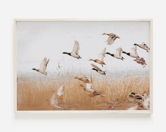 Duck Wall Art, Wildlife Photography, Cabin Decor, Duck Digital Print, Midwest Wall Art, Lodge Style Print, Duck Printable Art, Nature Poster