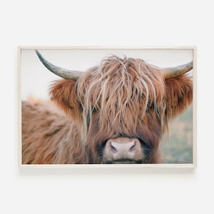 Brown Highland Cow, Rustic Cow Printable, Farmhouse Highland Cow Poster, Shaggy Cow Photography, Brown Cow Digital Art, Farmhouse Cow Photo
