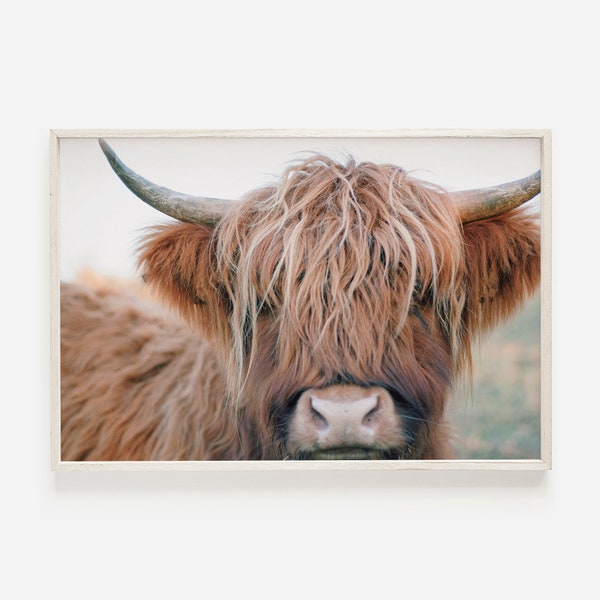 Brown Highland Cow, Rustic Cow Printable, Farmhouse Highland Cow Poster, Shaggy Cow Photography, Brown Cow Digital Art, Farmhouse Cow Photo