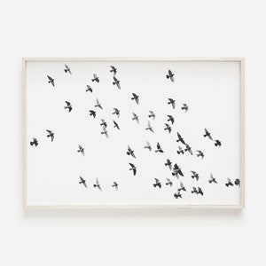 Cartel de bandada de pájaros, fotografía moderna de aves, gran migración, cartel de vida silvestre, decoración minimalista del hogar, impresión de pájaro blanco negro