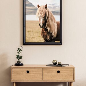 May include: A framed print of a brown horse with a long, blonde mane. The horse stands in a field with a lake and mountains in the background. Below the print is a wooden cabinet with two drawers, a glass cloche with a plant, and two decorative spheres.