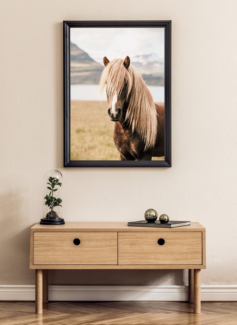 May include: A framed print of a brown horse with a long, blonde mane. The horse stands in a field with a lake and mountains in the background. Below the print is a wooden cabinet with two drawers, a glass cloche with a plant, and two decorative spheres.