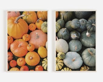 Pumpkin And Gourd Harvest Print Set, Set of 2 Prints, Colorful Vegetable Poster, Diptych Fall Art, Autumn Harvest Prints, Pumpkin Printable