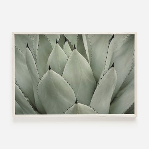 Agave Plant Leaves, Boho Plant Poster, Desert Agave Plant Art, Boho Bedroom Decor, Pale Green Succulent Art, Large Wall Art, Desert Plants