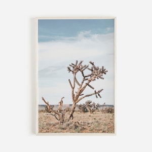 Wüsten Kaktus Landschaft, Rattail Kaktus Poster, Wüste Fotografie, Arizona Landschaft Druck, Natur Wandkunst, Southwest Home Decor, Kaktus Kunst