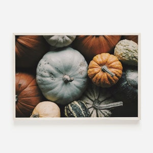 Fall Squash Harvest Print, Colorful Gourds Poster, Thanksgiving Decor, Rustic Farmhouse Art, Squash Print, Pumpkin Gourds Wall Art