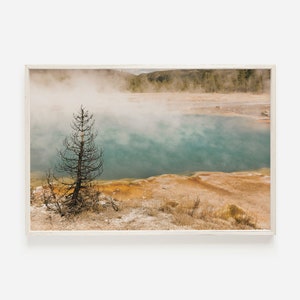 May include: A lone tree stands on the edge of a steaming hot spring, with a turquoise blue pool of water in the background. The water is surrounded by a ring of yellow and orange sediment.