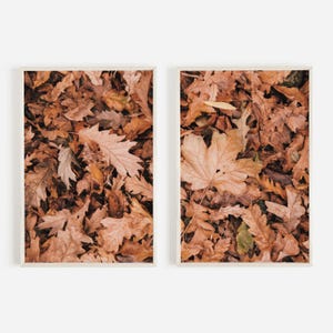 Fall Leaves On Forest Floor Print Set, 2 Piece Wall Art, Autumn Aesthetic, Fall Photography, Diptych Poster, Neutral Home Decor, Rustic Fall