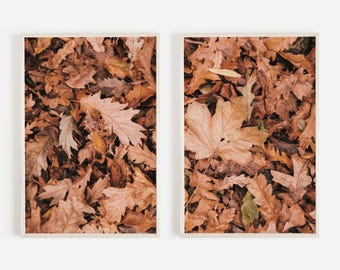 Fall Leaves On Forest Floor Print Set, 2 Piece Wall Art, Autumn Aesthetic, Fall Photography, Diptych Poster, Neutral Home Decor, Rustic Fall