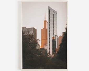 May include: A photograph of a cityscape with tall buildings in the background. The buildings are mostly glass and steel, and they are illuminated by the setting sun. The foreground is filled with trees and foliage, which are silhouetted against the bright sky.