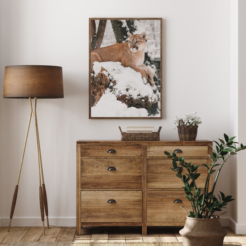 Puede incluir: Un puma marr&oacute;n y tostado se sienta en un entorno boscoso nevado. El puma mira hacia la derecha de la imagen. La imagen est&aacute; enmarcada y colgada en una pared blanca sobre una c&oacute;moda de madera.