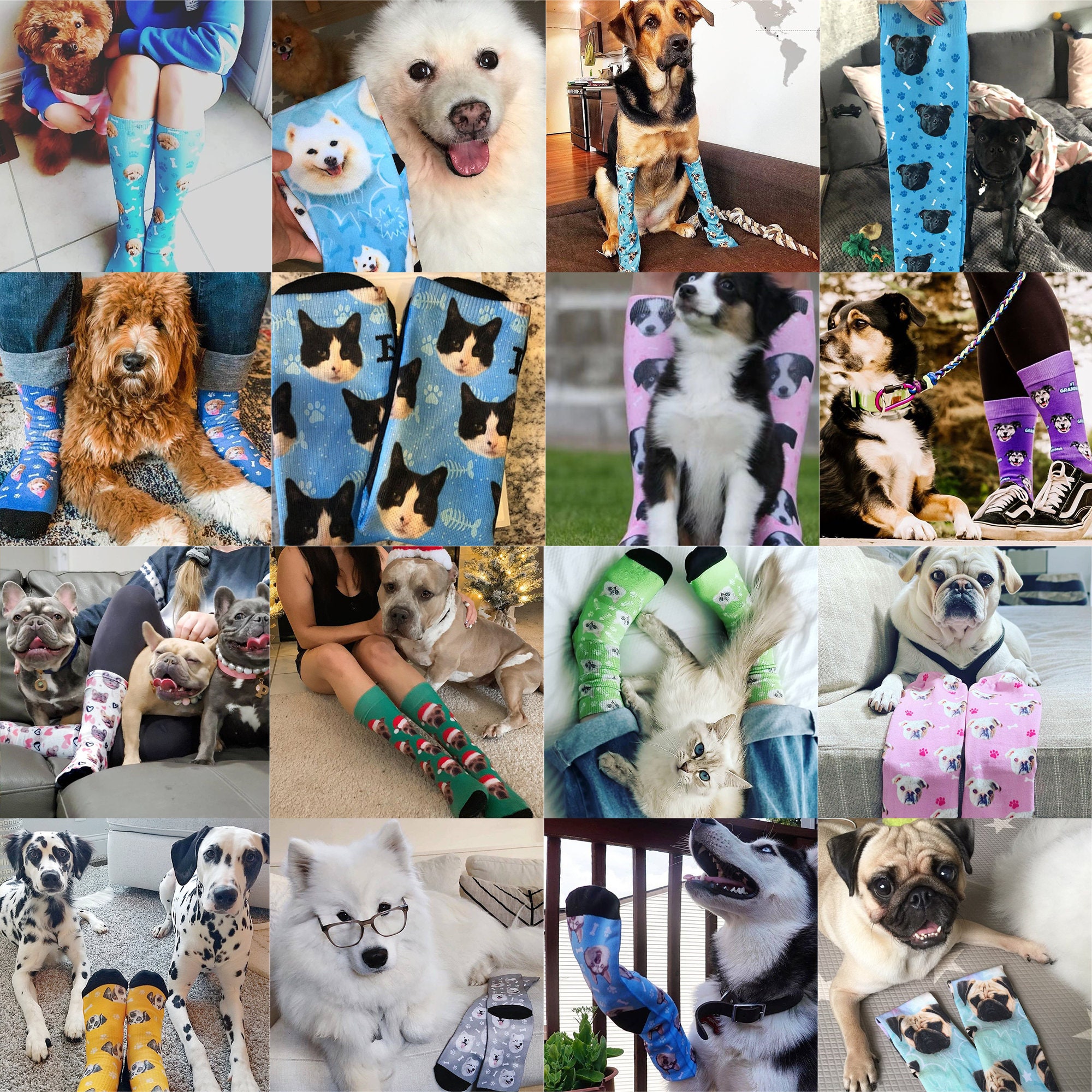 Custom Pet Face Socks custom Dog Socks Photo Sockspet Etsy