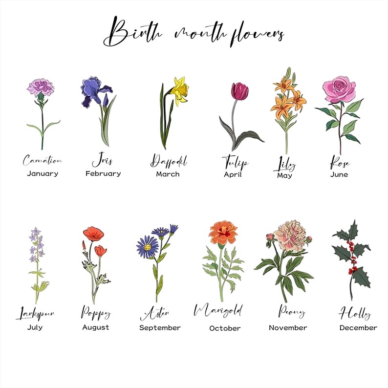 Puede incluir: Un gr&aacute;fico que muestra las flores de nacimiento para cada mes del a&ntilde;o. Las flores est&aacute;n ilustradas en color e incluyen clavel, iris, narciso, tulip&aacute;n, lirio, rosa, espuela de caballero, amapola, aster, cal&eacute;ndula, peon&iacute;a y acebo.