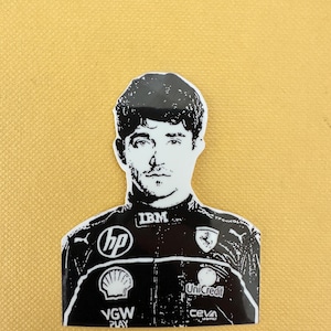 Könnte beinhalten: Schwarz-weißer Aufkleber mit dem Porträt einer Person in einem Rennanzug. Der Anzug trägt Logos von IBM, HP, Shell und UniCredit. Der Hintergrund ist einfarbig gelb.