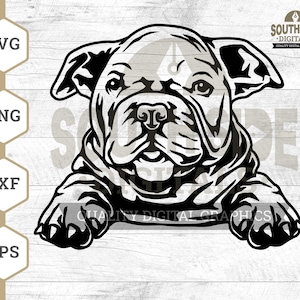 Peeking Bully Puppy SVG File, Peeking Bully Puppy svg, Bully Puppy svg, Cute Puppy svg, Bully Shirt, Peeking Animal Clipart, Png, DXF File