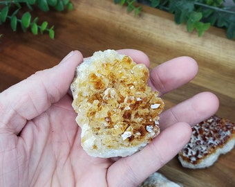 Heat Treated Brazilian Citrine Cluster