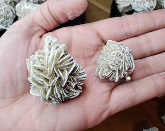 Natural Desert Rose Crystal Cluster / Gypsum Rose from Mexico (Small or Large)