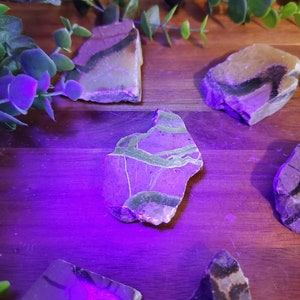 May include: Close-up of five pieces of green, brown, and white agate. The agate is illuminated with a UV light, causing it to glow a vibrant purple.