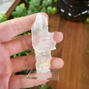 Mounted Selenite Specimen
