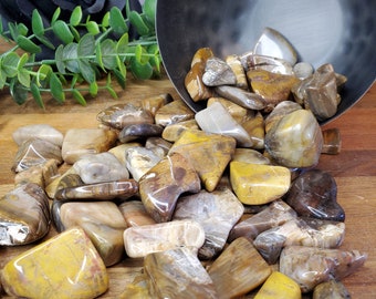Large Natural Petrified Wood Tumbled Stone