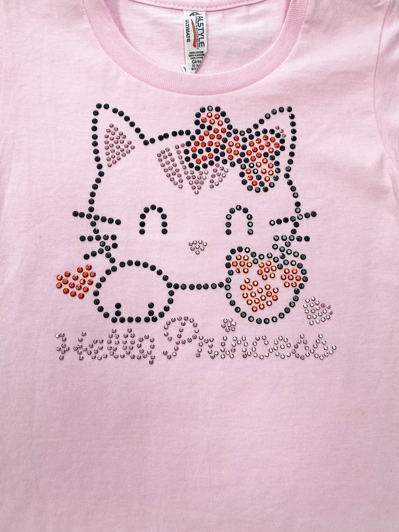 May include: Pink t-shirt with a rhinestone design of a cat with a bow and the word "Princess" underneath.