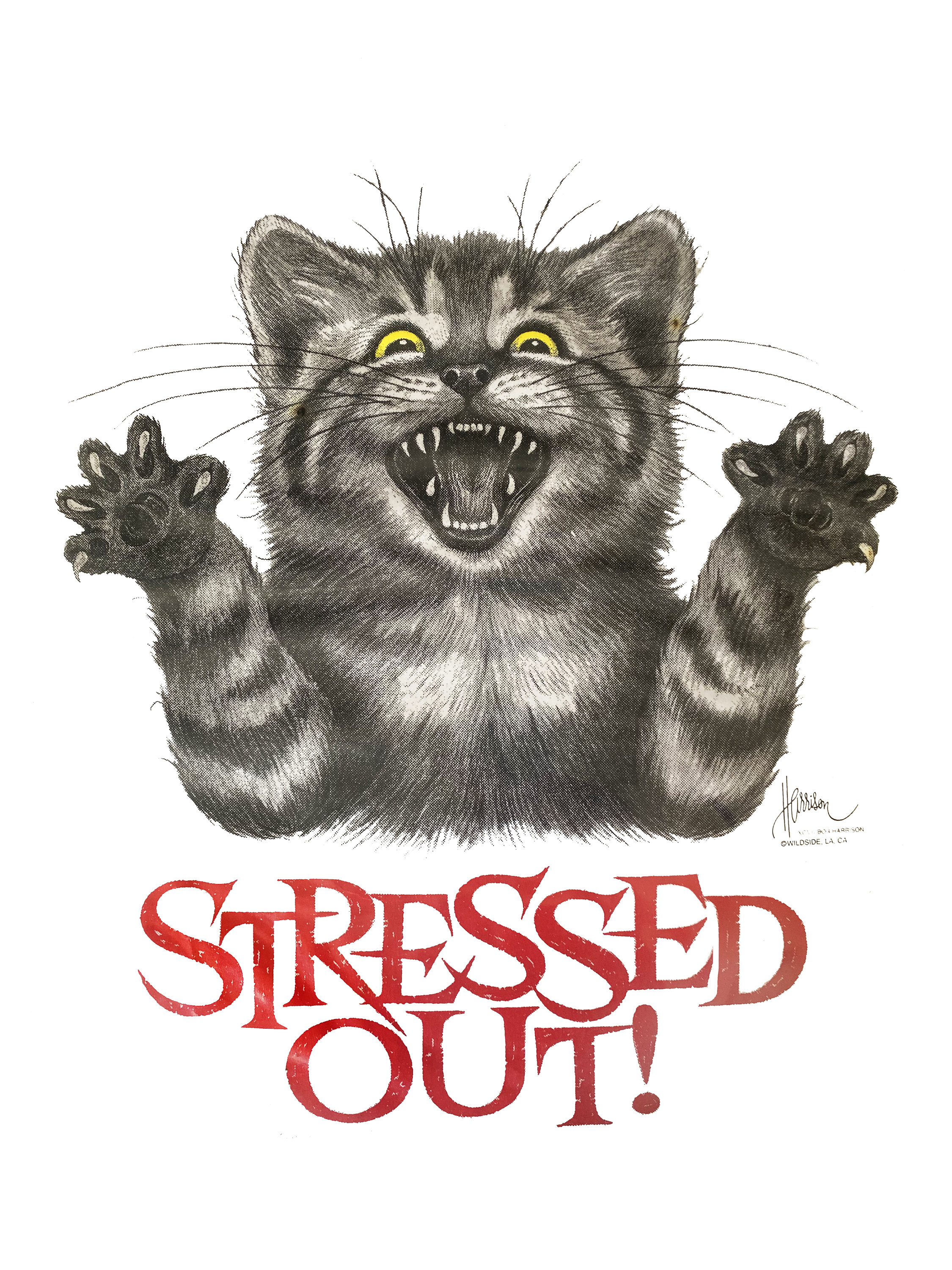 Stressed Out Cat T-shirt - Etsy
