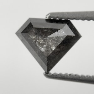 Può includere: Un diamante nero sfaccettato a forma di scudo con una superficie opaca e strutturata. La pietra preziosa è tenuta da una pinzetta metallica, che mette in risalto il suo taglio geometrico e l'aspetto scuro e maculato su sfondo chiaro.